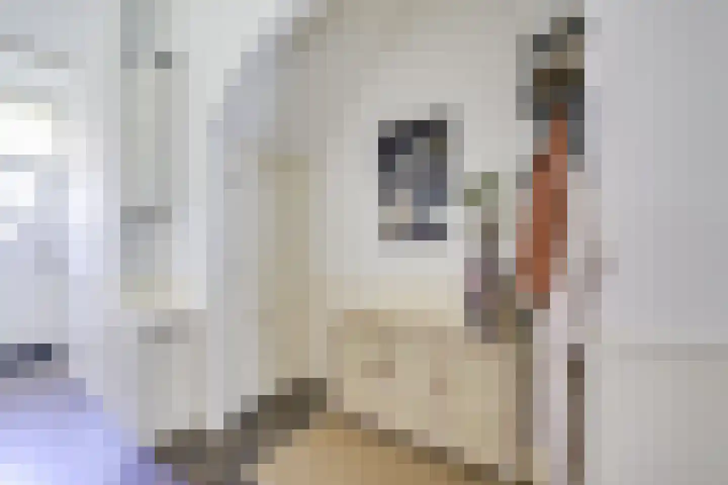 Willem van Noortstraat 83 Utrecht thumbnail 5