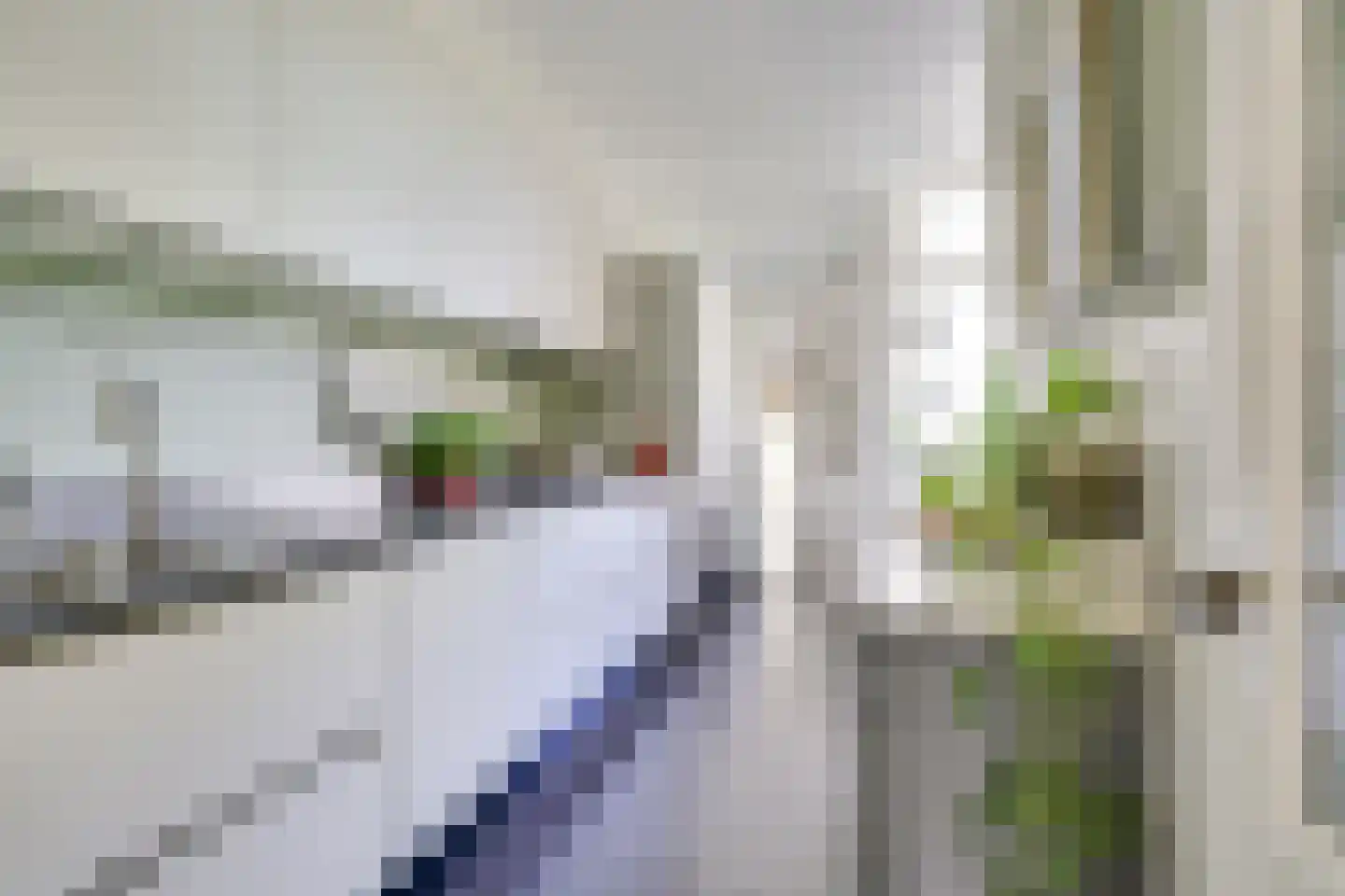 Willem van Noortstraat 83 Utrecht thumbnail 9