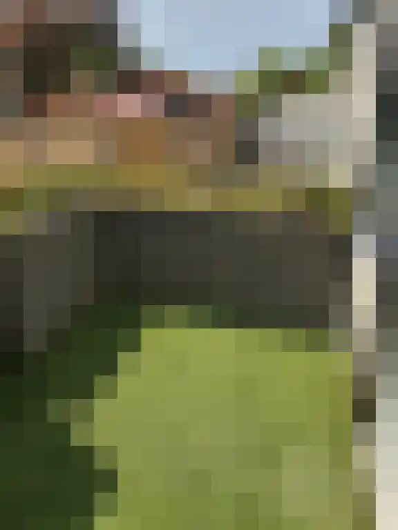 Willem van Noortstraat Arnhem thumbnail 4