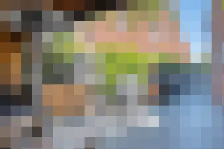 Willem van Oranjelaan 11 Zwijndrecht thumbnail 36