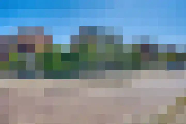 Willem van Oranjelaan 11 Zwijndrecht thumbnail 41