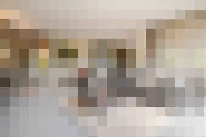 Willem van Oranjelaan 125 Breda thumbnail 10