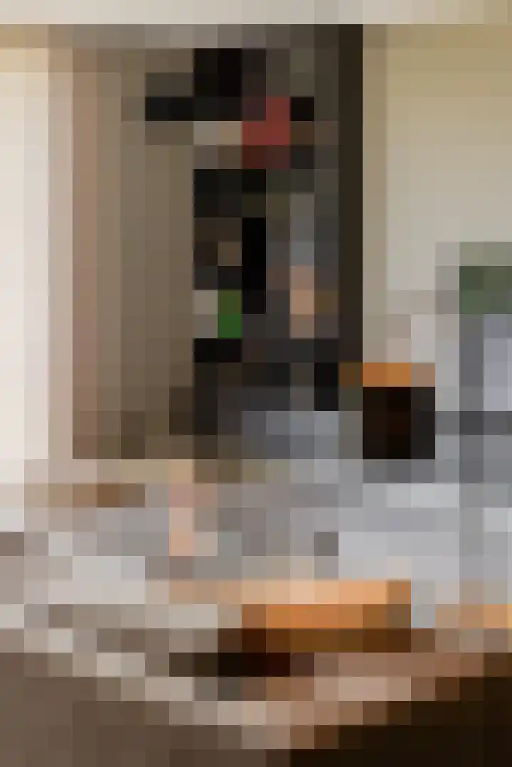 Willem van Oranjelaan 125 Breda thumbnail 12
