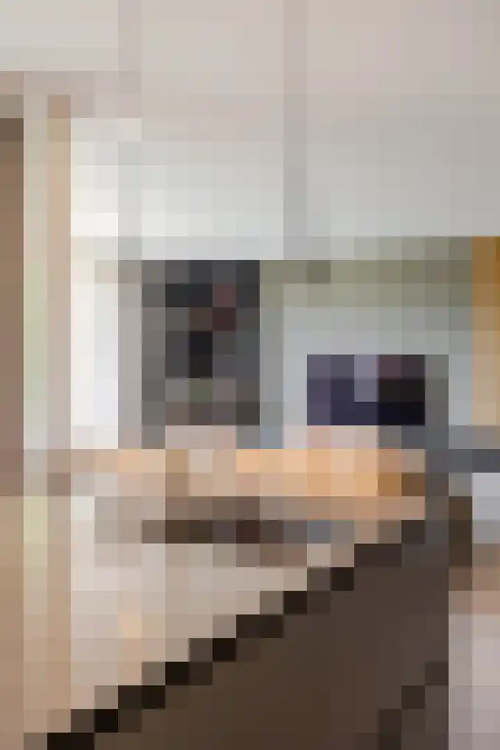 Willem van Oranjelaan 125 Breda thumbnail 13