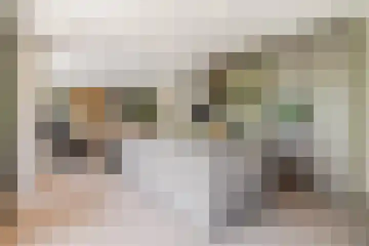 Willem van Oranjelaan 125 Breda thumbnail 15