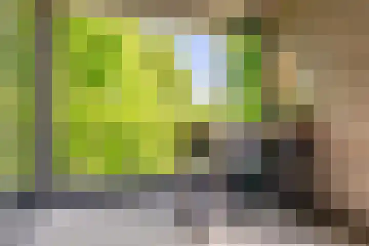 Willem van Oranjelaan 125 Breda thumbnail 20