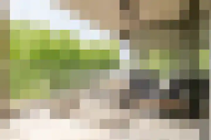 Willem van Oranjelaan 125 Breda thumbnail 21