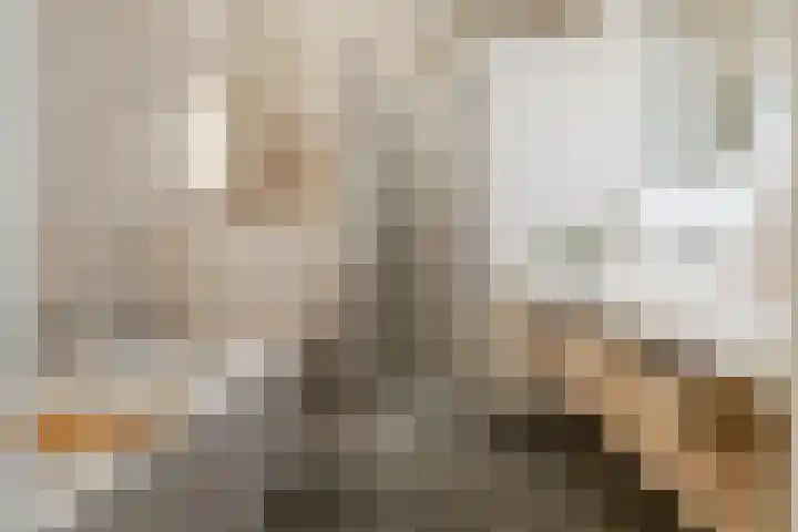 Willem van Oranjelaan 125 Breda thumbnail 25