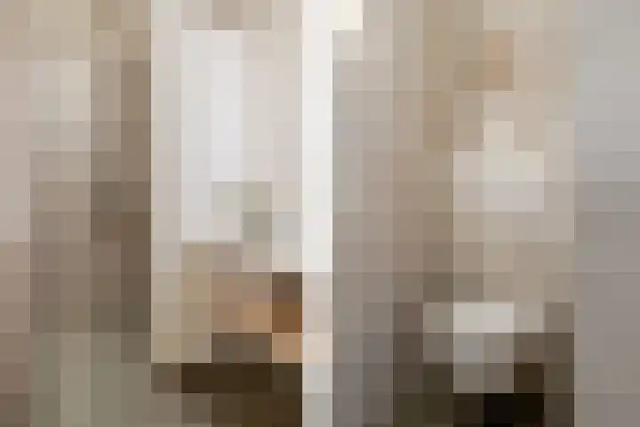 Willem van Oranjelaan 125 Breda thumbnail 27