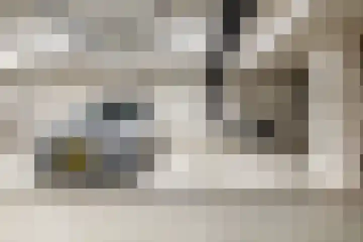 Willem van Oranjelaan 125 Breda thumbnail 35
