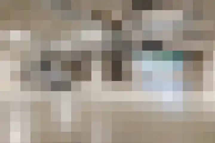 Willem van Oranjelaan 125 Breda thumbnail 36