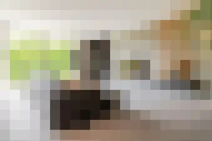 Willem van Oranjelaan 125 Breda thumbnail 9
