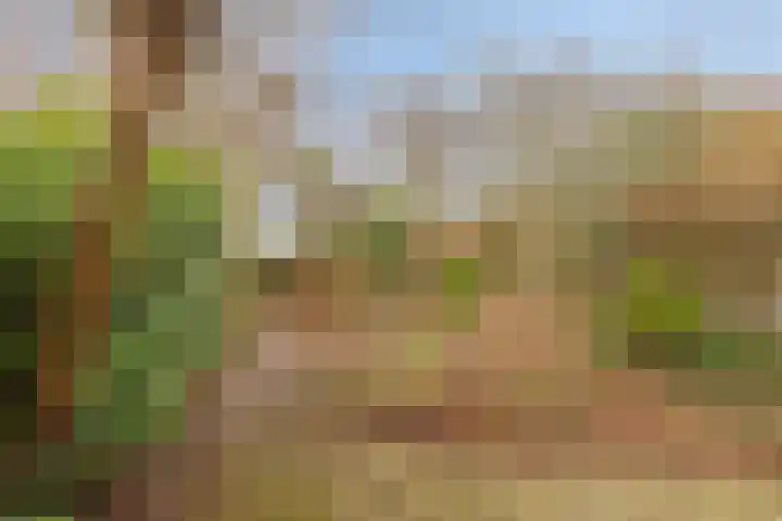 Willem van Oranjelaan 25 's-Hertogenbosch thumbnail 10