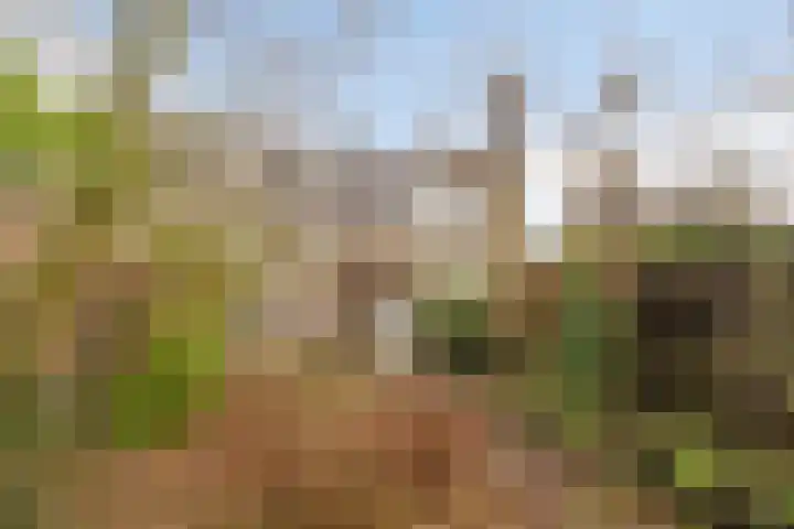 Willem van Oranjelaan 25 's-Hertogenbosch thumbnail 11