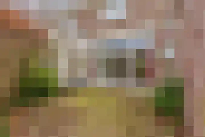 Willem van Oranjelaan 25 's-Hertogenbosch thumbnail 12
