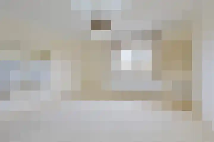 Willem van Oranjelaan 25 's-Hertogenbosch thumbnail 19