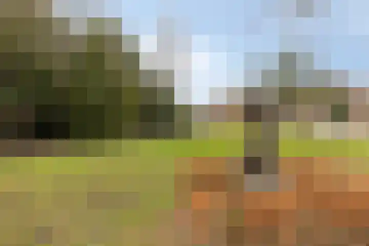 Willem van Oranjelaan 25 's-Hertogenbosch thumbnail 35