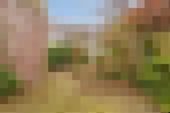 Willem van Oranjelaan 25 's-Hertogenbosch thumbnail 9
