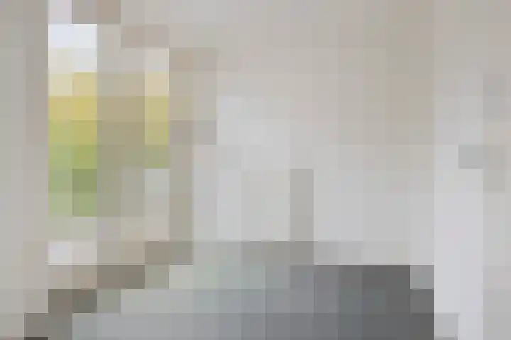 Willem van Oranjelaan 34 BIS Breda thumbnail 23