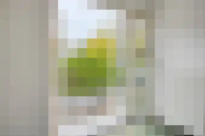 Willem van Oranjelaan 34 BIS Breda thumbnail 24