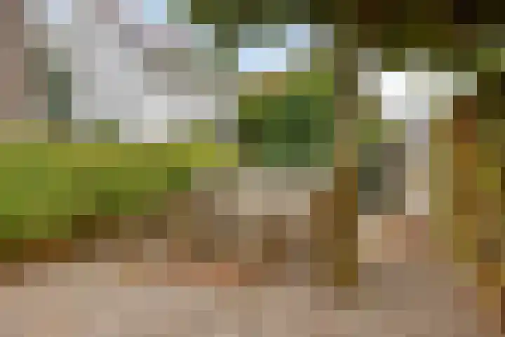 Willem van Oranjelaan 34 BIS Breda thumbnail 29