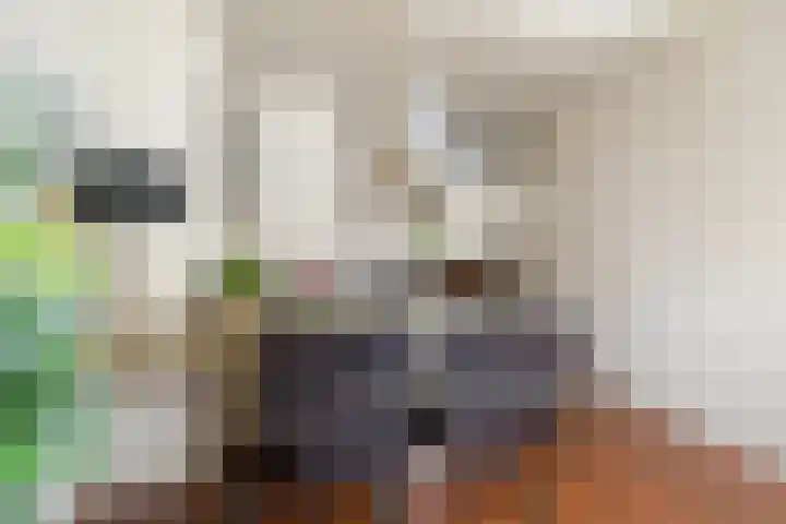 Willem van Oranjelaan 51 dans Schijndel
