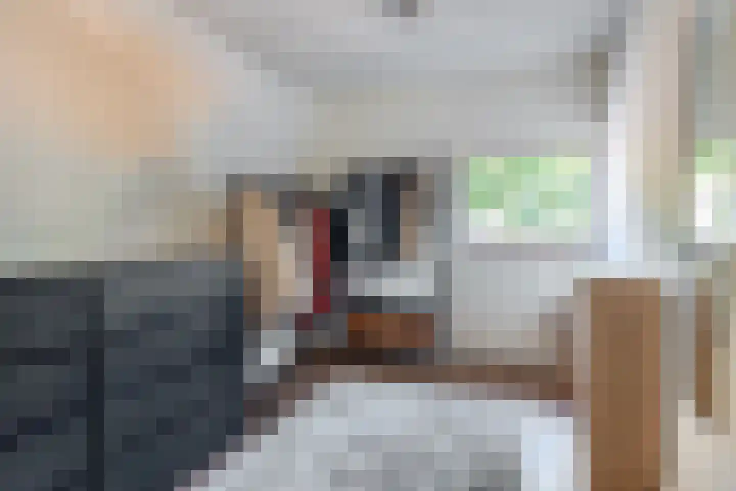 Willem van Oranjelaan 51 Schijndel thumbnail 16