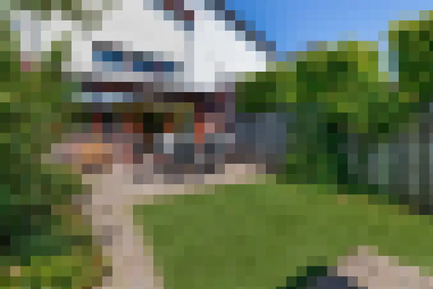 Willem van Oranjelaan 51 Schijndel thumbnail 23