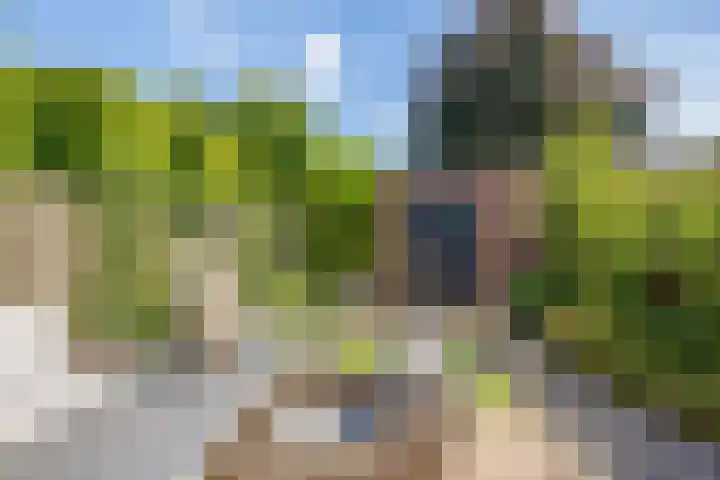 Willem van Oranjelaan 51 Schijndel thumbnail 27