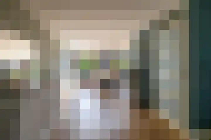 Willem van Oranjelaan 51 Schijndel thumbnail 7