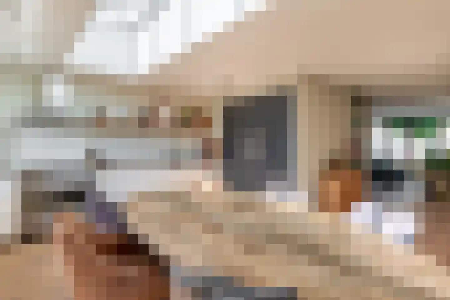 Willem van Oranjelaan 51 Schijndel thumbnail 8