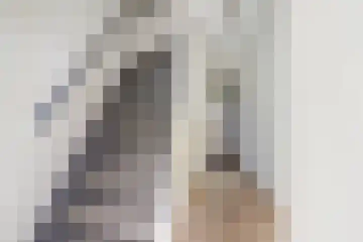 Willem van Oranjelaan 66 Bladel thumbnail 11