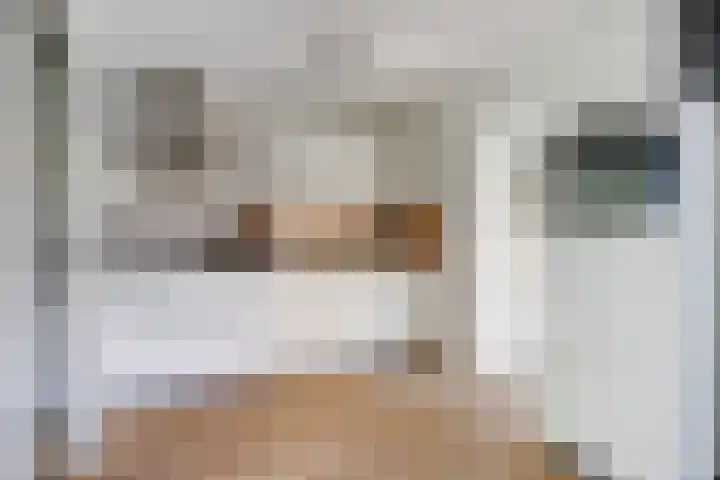 Willem van Oranjelaan 66 Bladel thumbnail 14