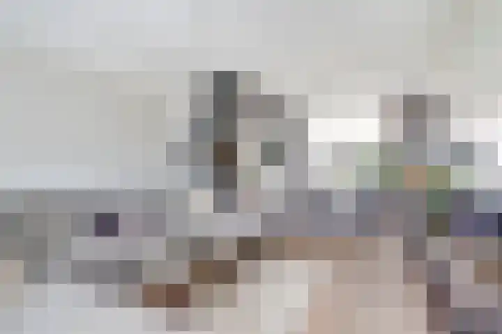 Willem van Oranjelaan 66 Bladel thumbnail 19