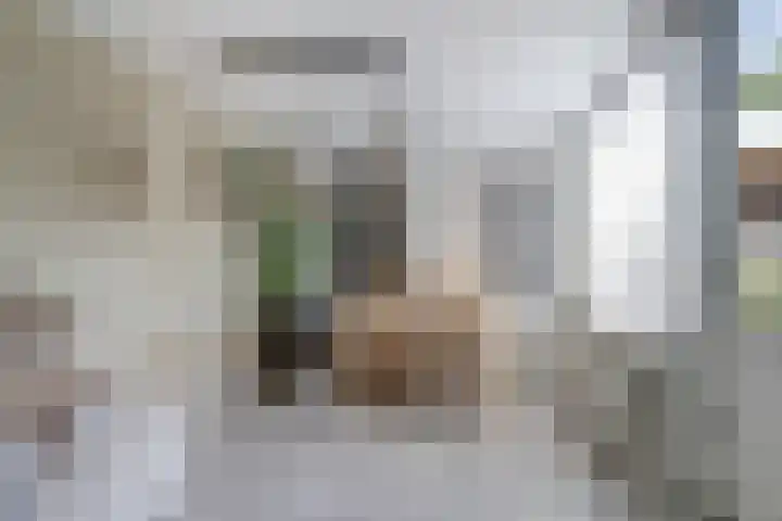 Willem van Oranjelaan 66 Bladel thumbnail 24