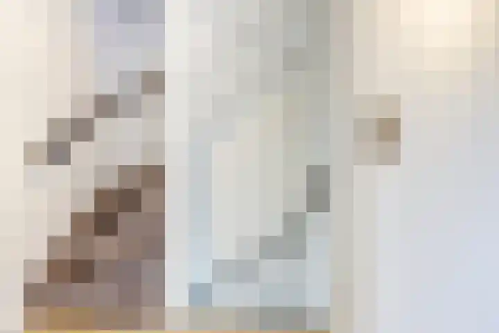 Willem van Oranjelaan 66 Bladel thumbnail 26