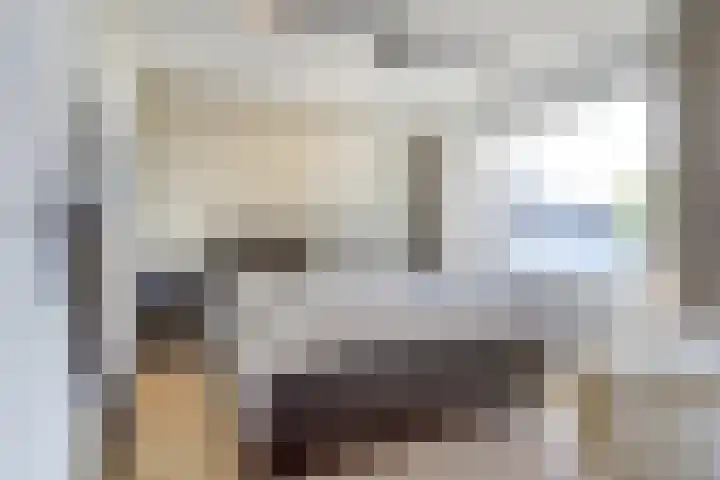 Willem van Oranjelaan 66 Bladel thumbnail 27