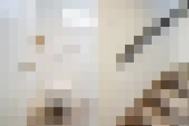 Willem van Oranjelaan 66 Bladel thumbnail 31