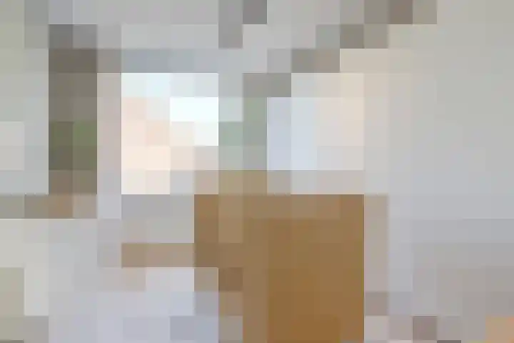 Willem van Oranjelaan 66 Bladel thumbnail 34