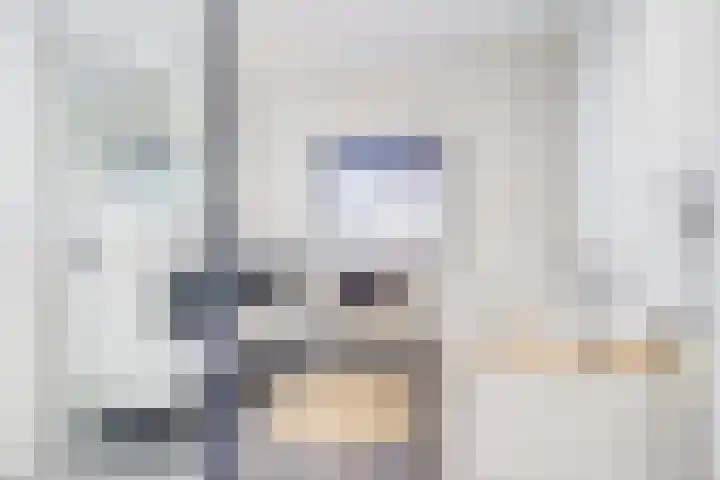 Willem van Oranjelaan 66 Bladel thumbnail 36