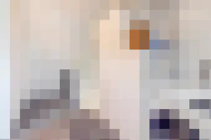Willem van Oranjelaan 66 Bladel thumbnail 39