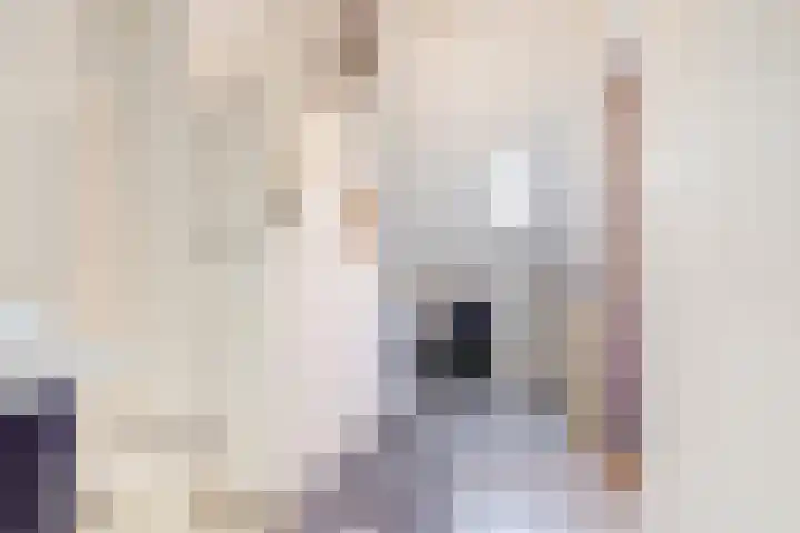 Willem van Oranjelaan 66 Bladel thumbnail 40
