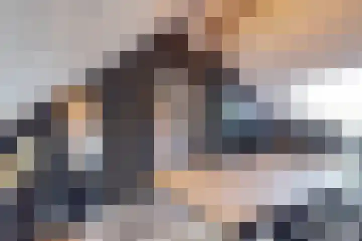 Willem van Oranjelaan 66 Bladel thumbnail 44