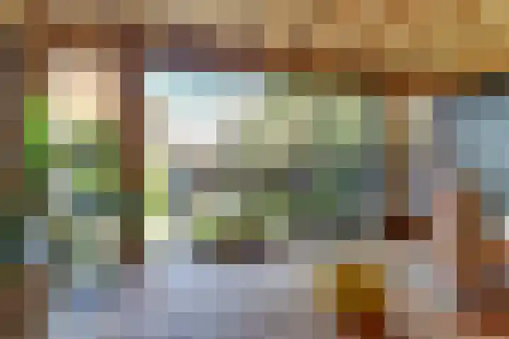 Willem van Oranjelaan 66 Bladel thumbnail 50