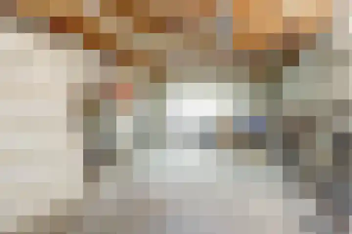 Willem van Oranjelaan 66 Bladel thumbnail 56
