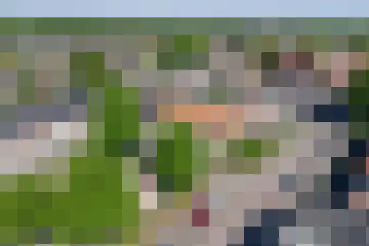 Willem van Oranjelaan 66 Bladel thumbnail 8