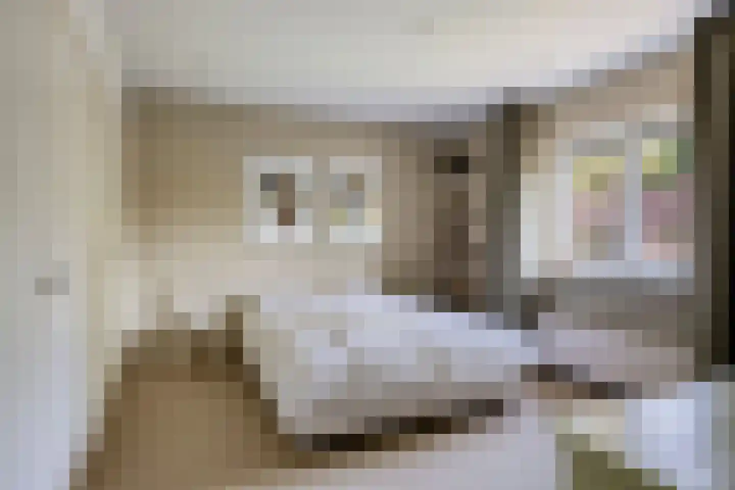 Willem van Oranjelaan 86 Breda thumbnail 31