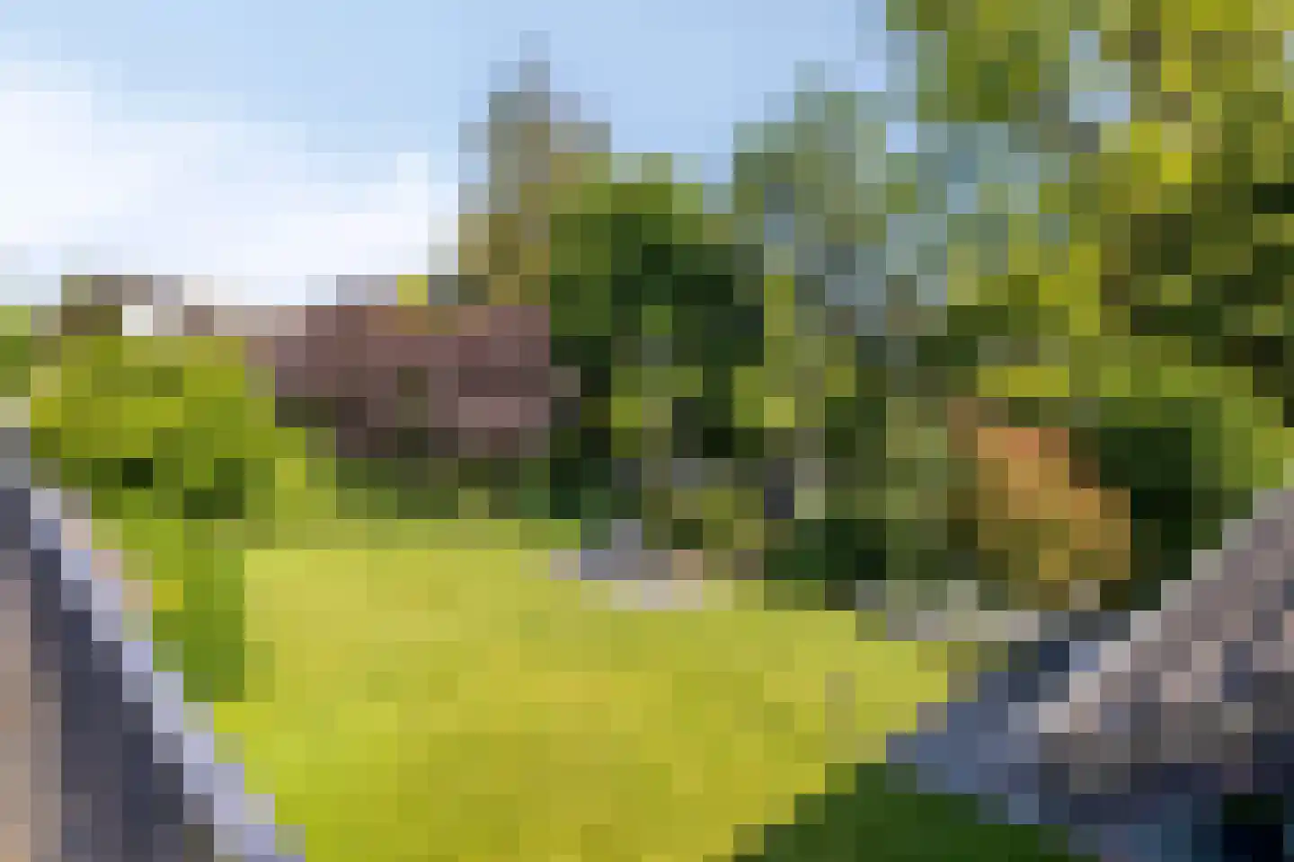 Willem van Oranjelaan 86 Breda thumbnail 40