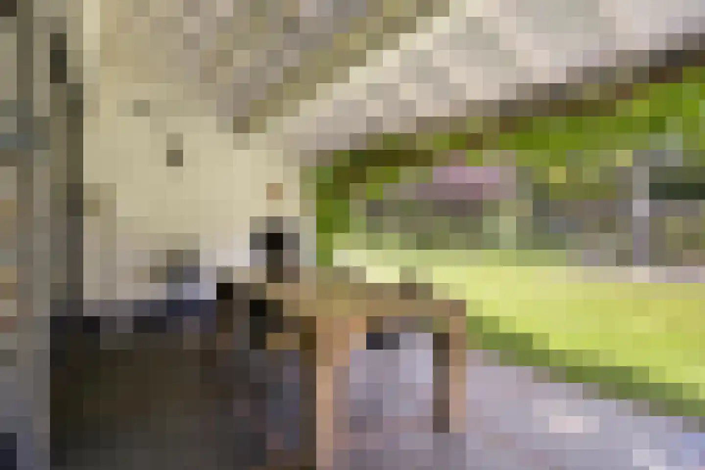 Willem van Oranjelaan 86 Breda thumbnail 42