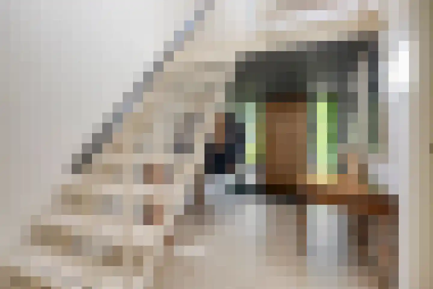 Willem van Oranjelaan 86 Breda thumbnail 8
